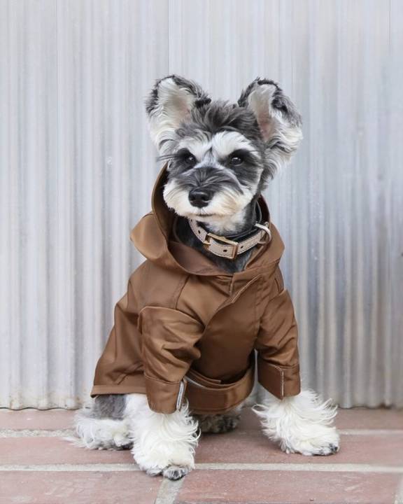 Make A Splash Brown Rain Jacket - Image 10