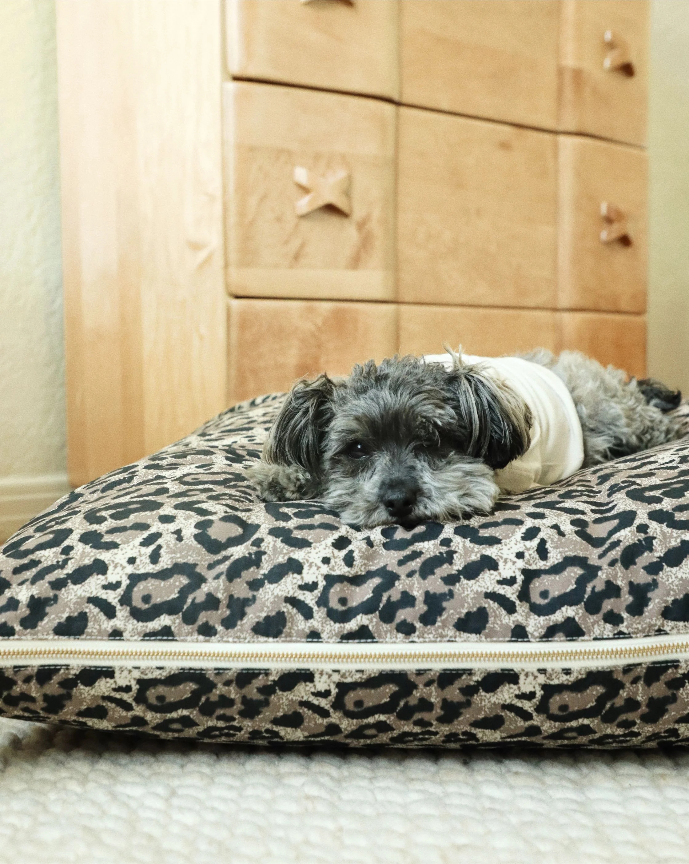 Sarabi Leopard Print Dog Bed - Image 2