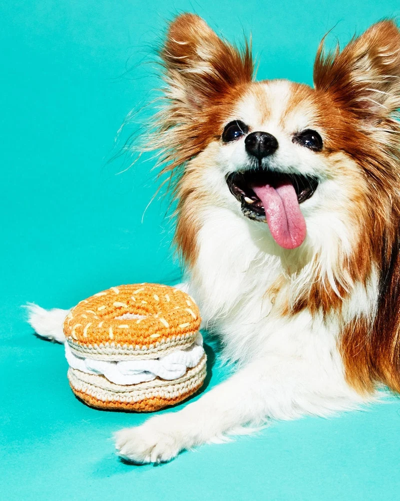 Schmear Delight Bagel Dog Toy