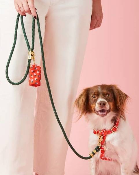 Berry Sweet Foggy Dog Waste Bag Holder - Image 4
