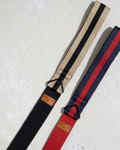 The City Dog Leash in Rue Cambon - Image 3