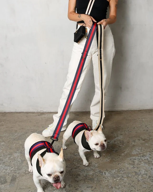 The City Dog Leash in Rue Cambon - Image 4