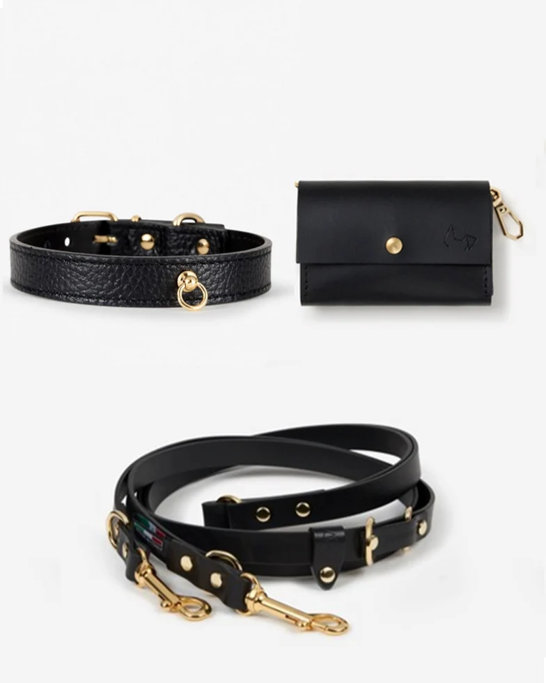 Nara Collar Black Leather Multi-Position Walk Kit