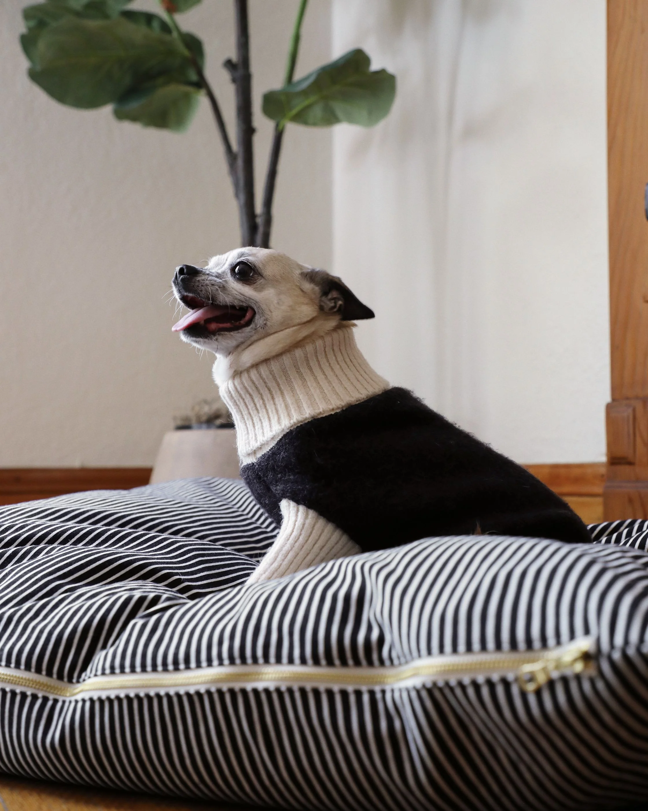 Hello Sailor Black Striped Dog Bed - Image 6