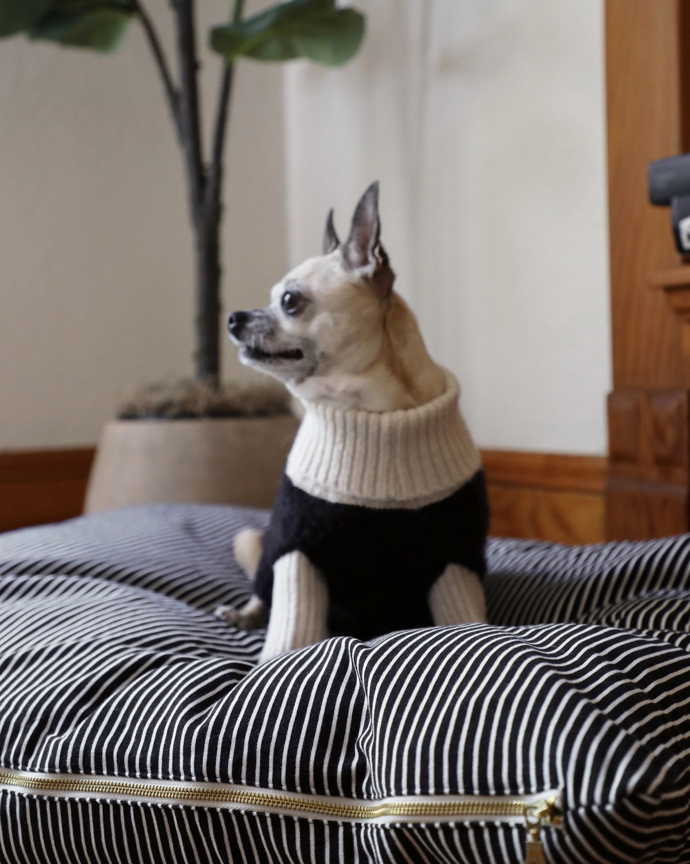 Hello Sailor Black Striped Dog Bed - Image 7