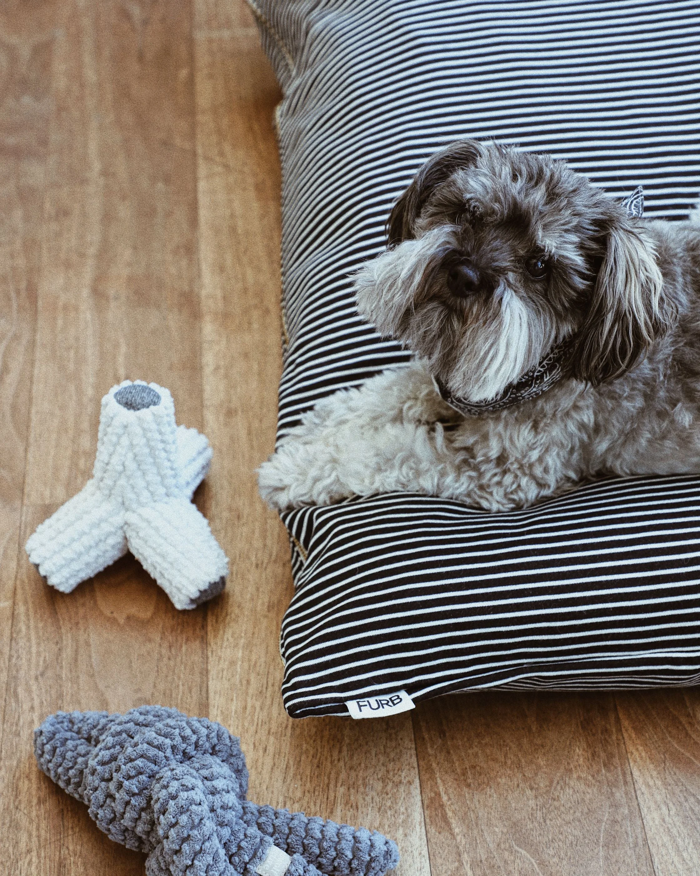 Hello Sailor Black Striped Dog Bed - Image 8