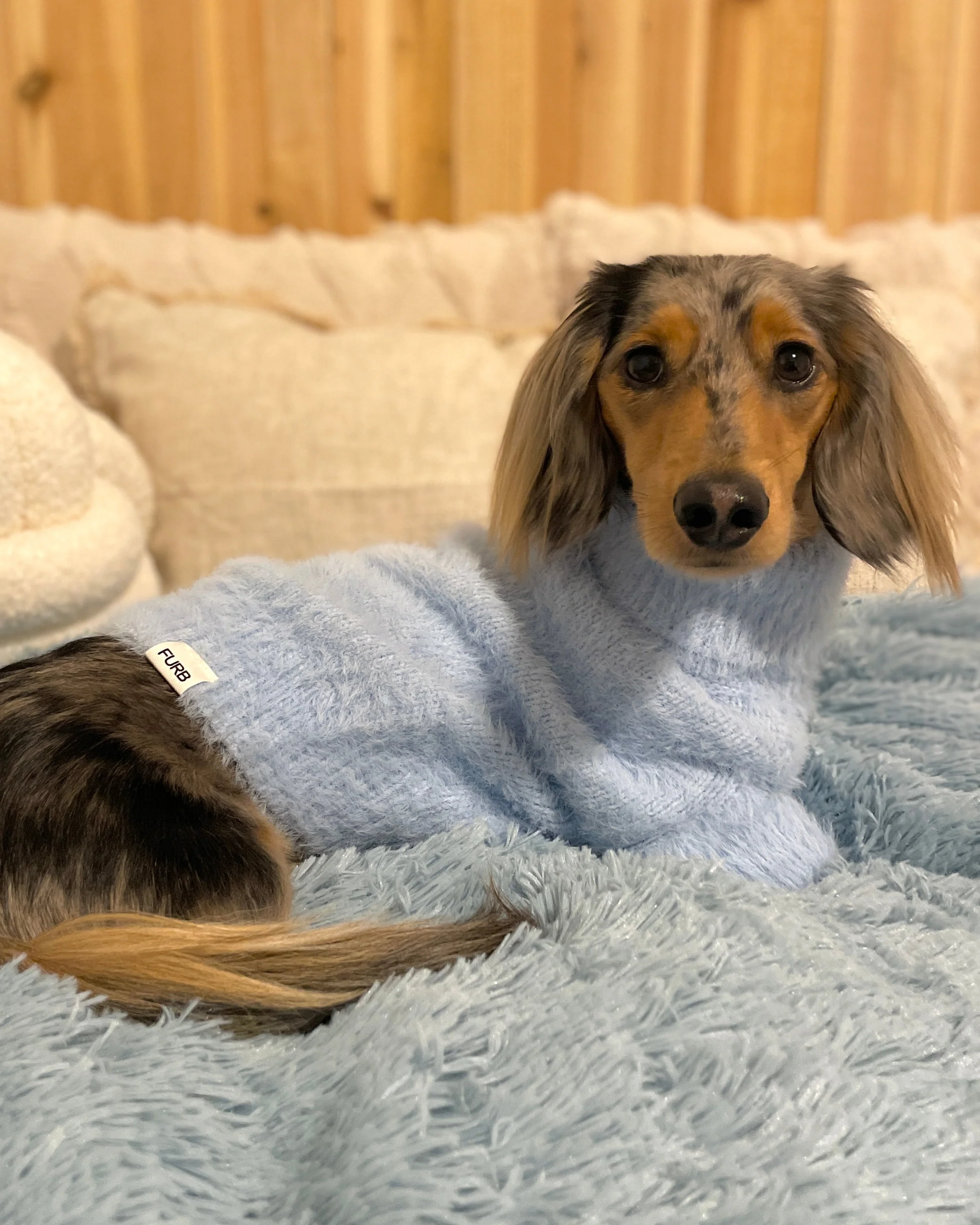 Bobbi Pastel Blue Eyelash Knit Dog Sweater - Image 6