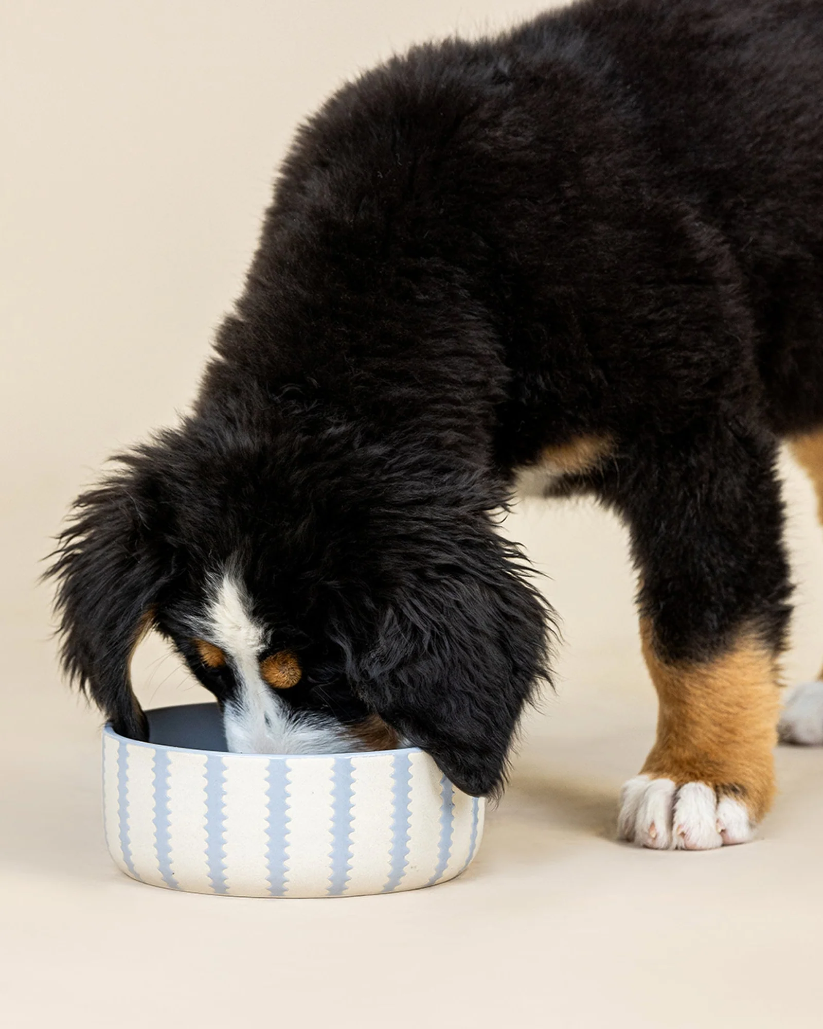 Biscuit Bay Blue + Ivory Dog Bowl - Image 3