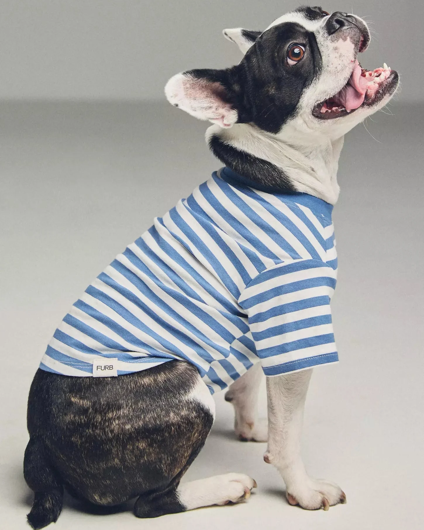 Casual Cutie Blue + White Dog T-Shirt - Image 2