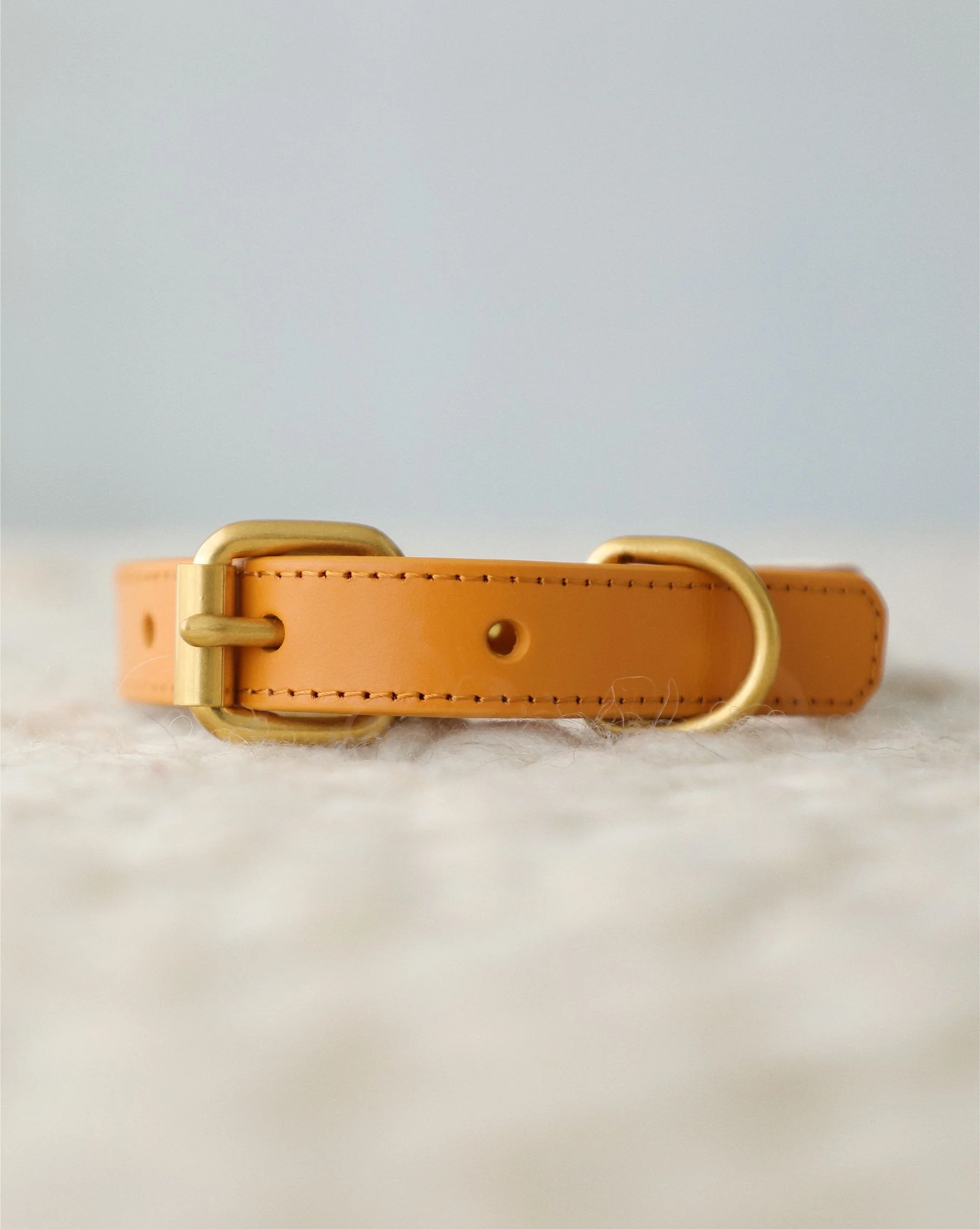 Seas The Day Embroidered Dog Collar - Image 2