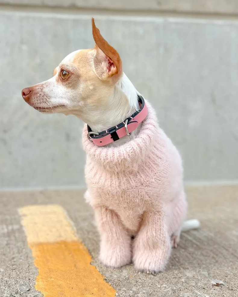 Bobbi Blush Eyelash Knit Dog Sweater - Image 12