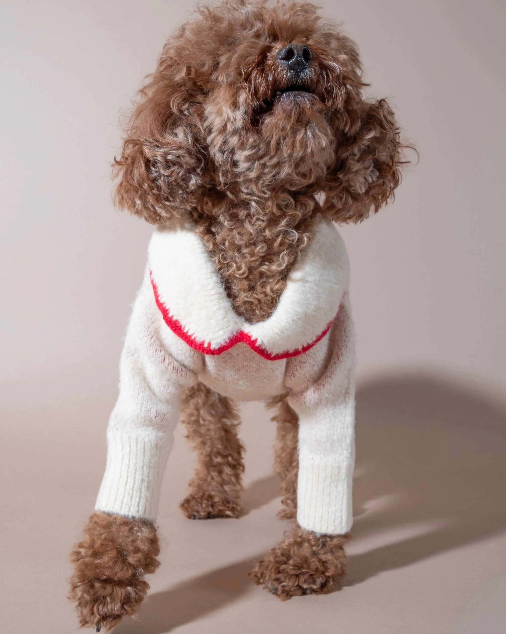 All Wrapped Up Ivory Bow Sweater - Image 9