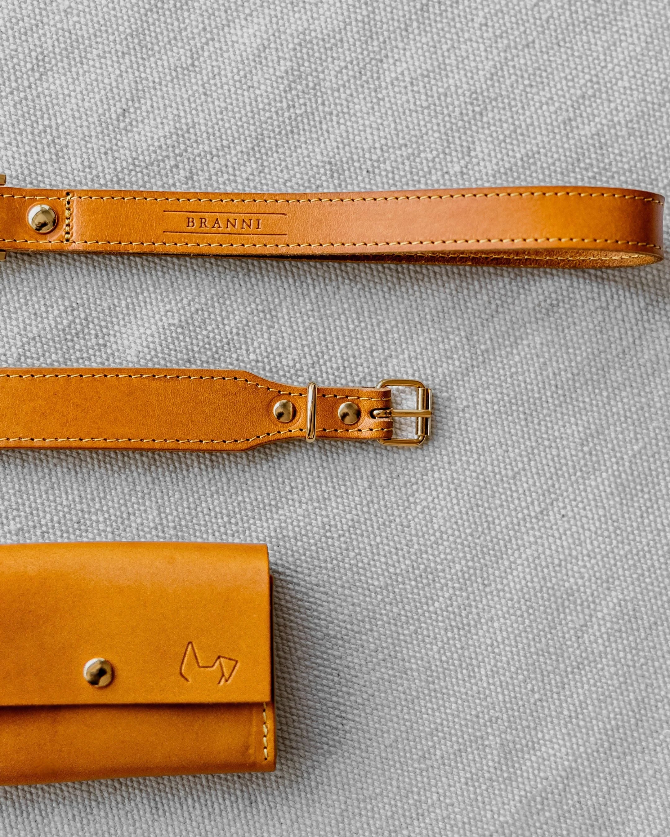 Rocco Leather Collar in Yellow - Image 3
