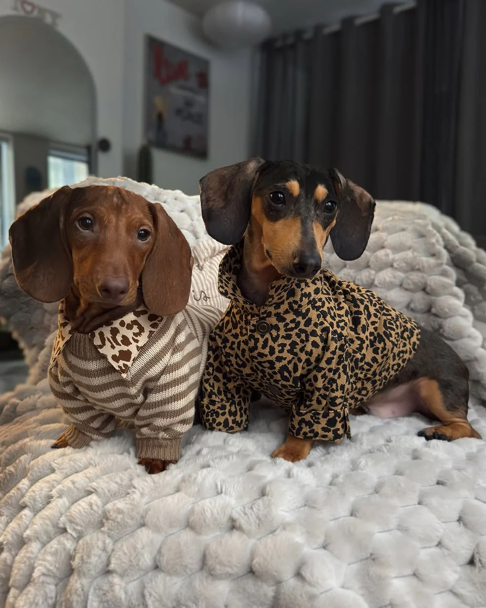 Like A Bandit Nutmeg Striped Dog Sweater - Image 13