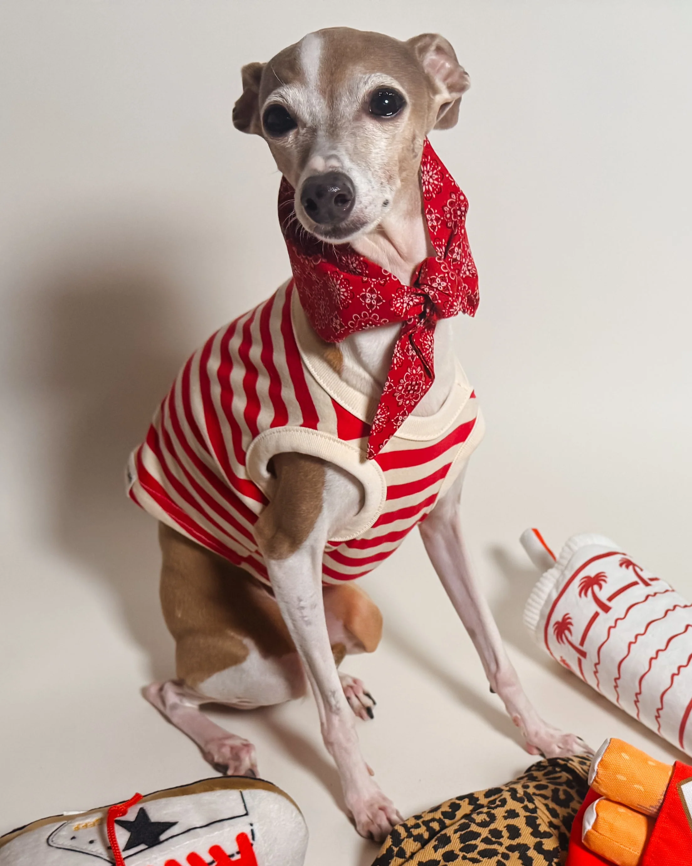 Pup Rally Red + Ivory Striped Dog Tank - Image 9
