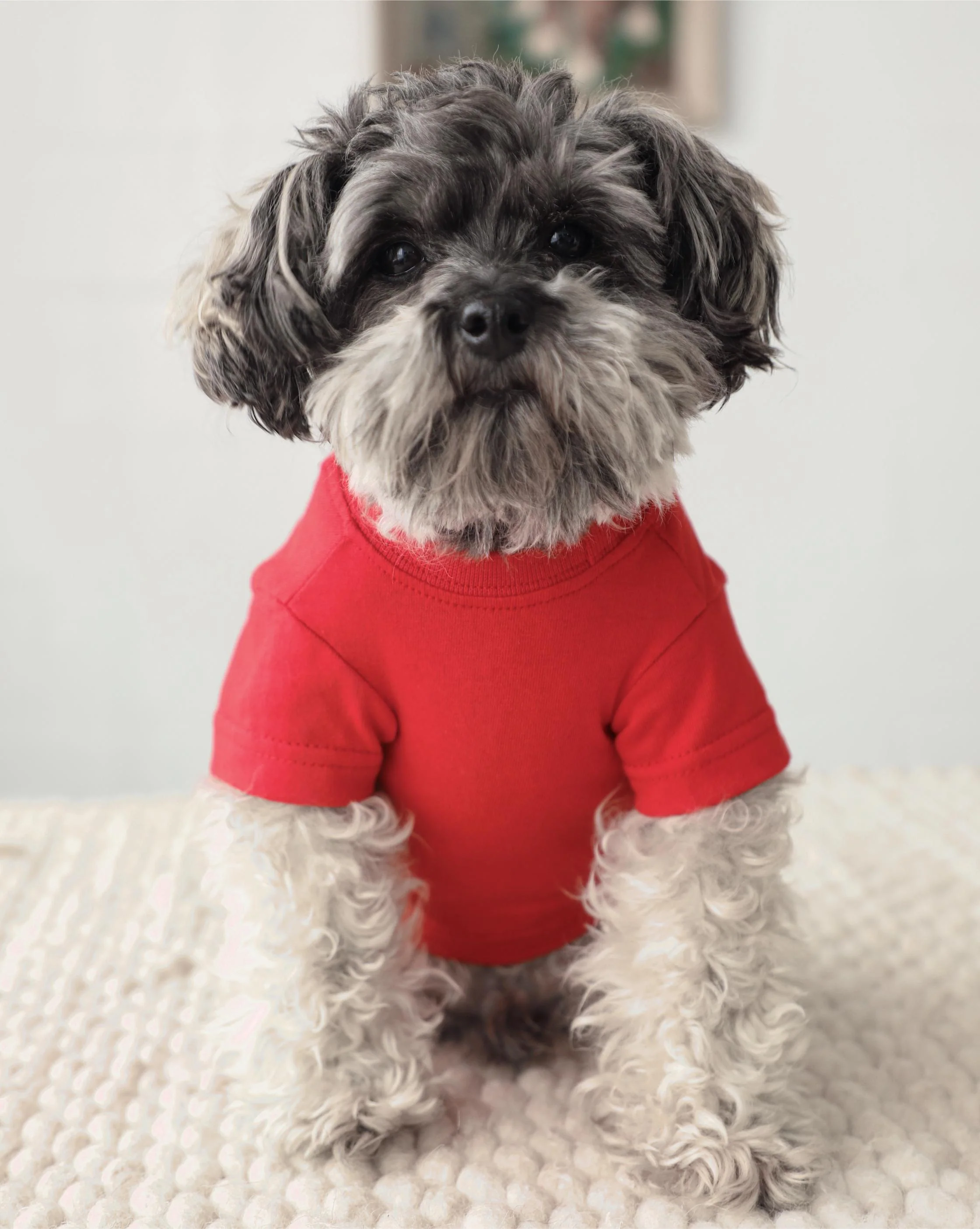 Casual Cutie Red Dog T-Shirt - Image 3