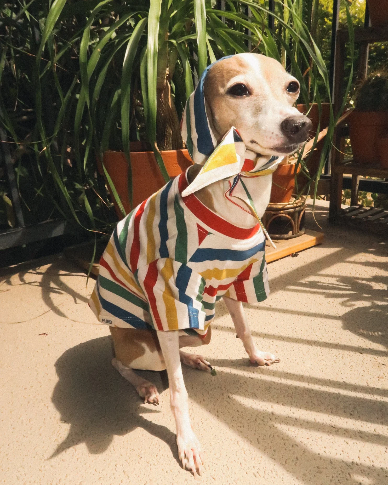 Beach Blanket Bingo Multi Striped Dog Bandana - Image 5
