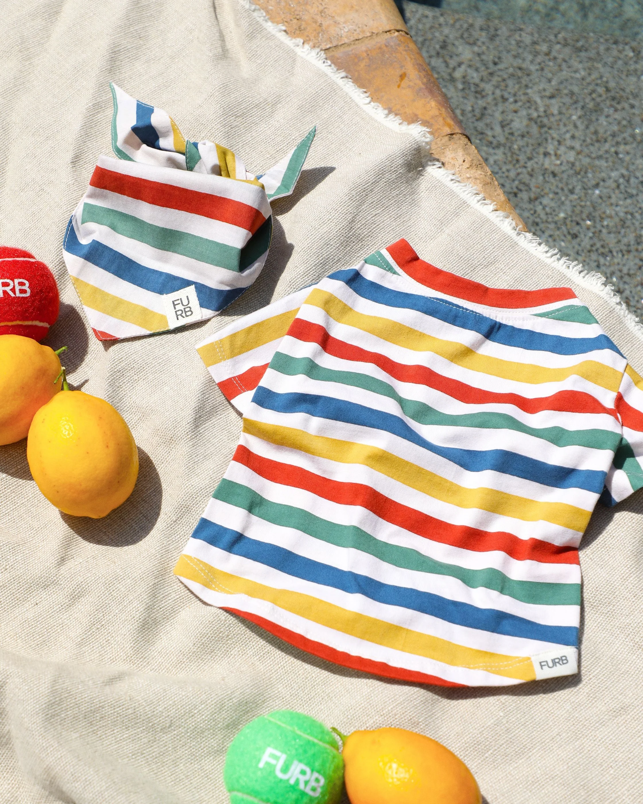 Beach Blanket Bingo Multi Striped Print Dog T-Shirt - Image 6