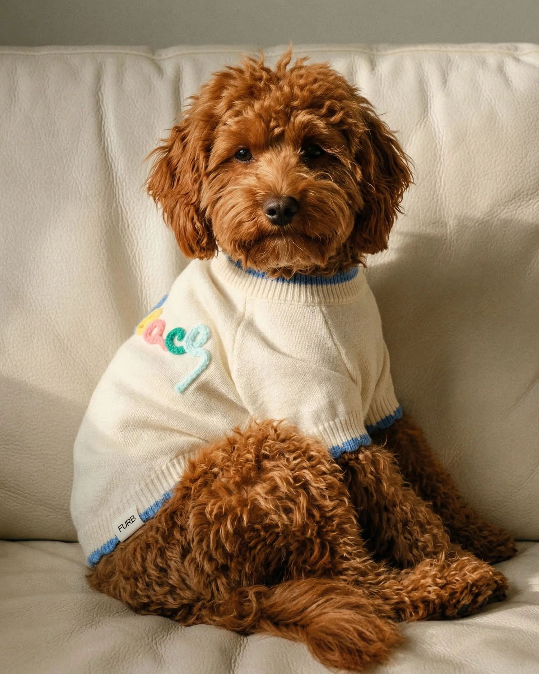 Beach Bum Embroidered Dog Sweater - Image 7