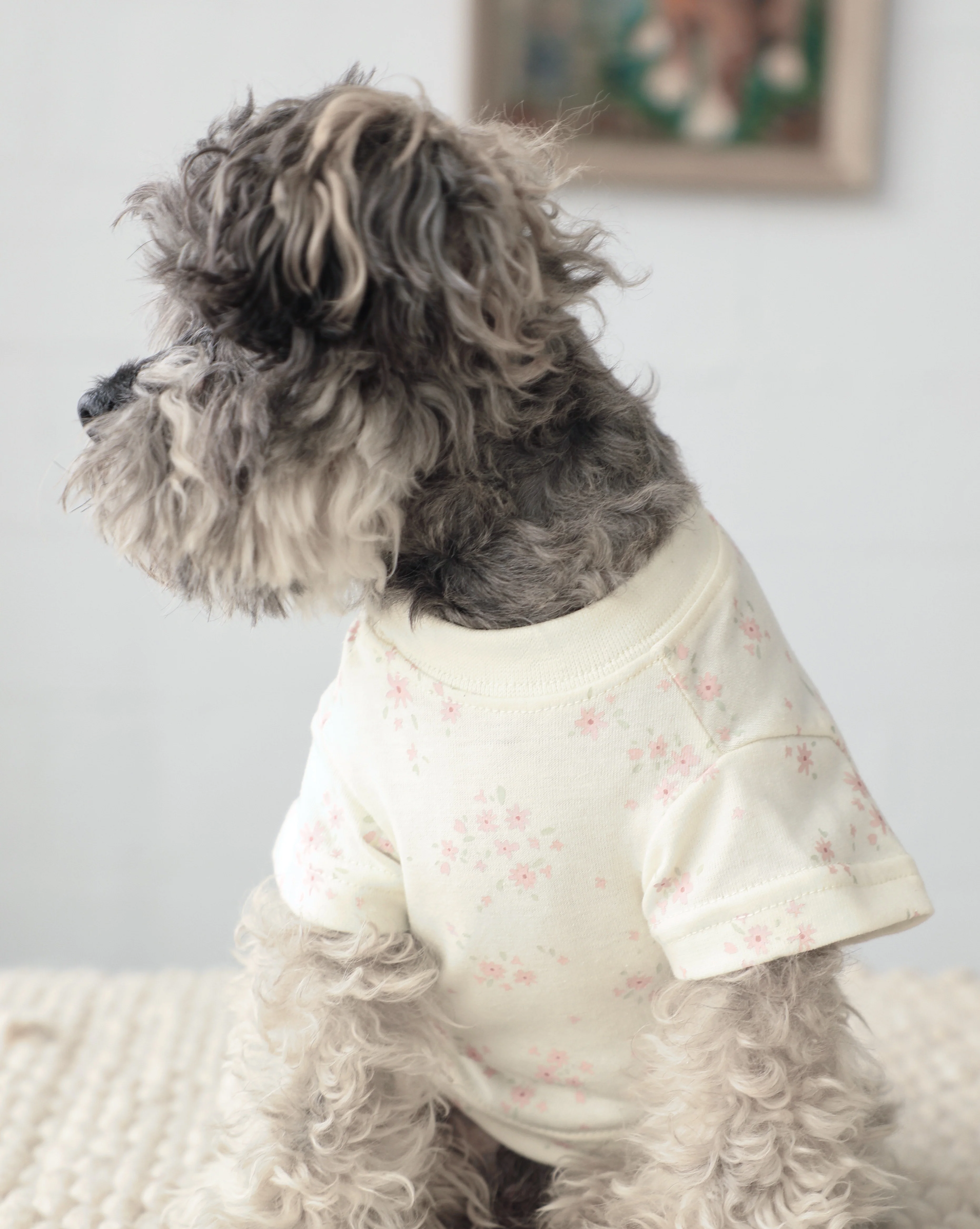 Casual Cutie Ditsy Floral Dog T-Shirt - Image 4