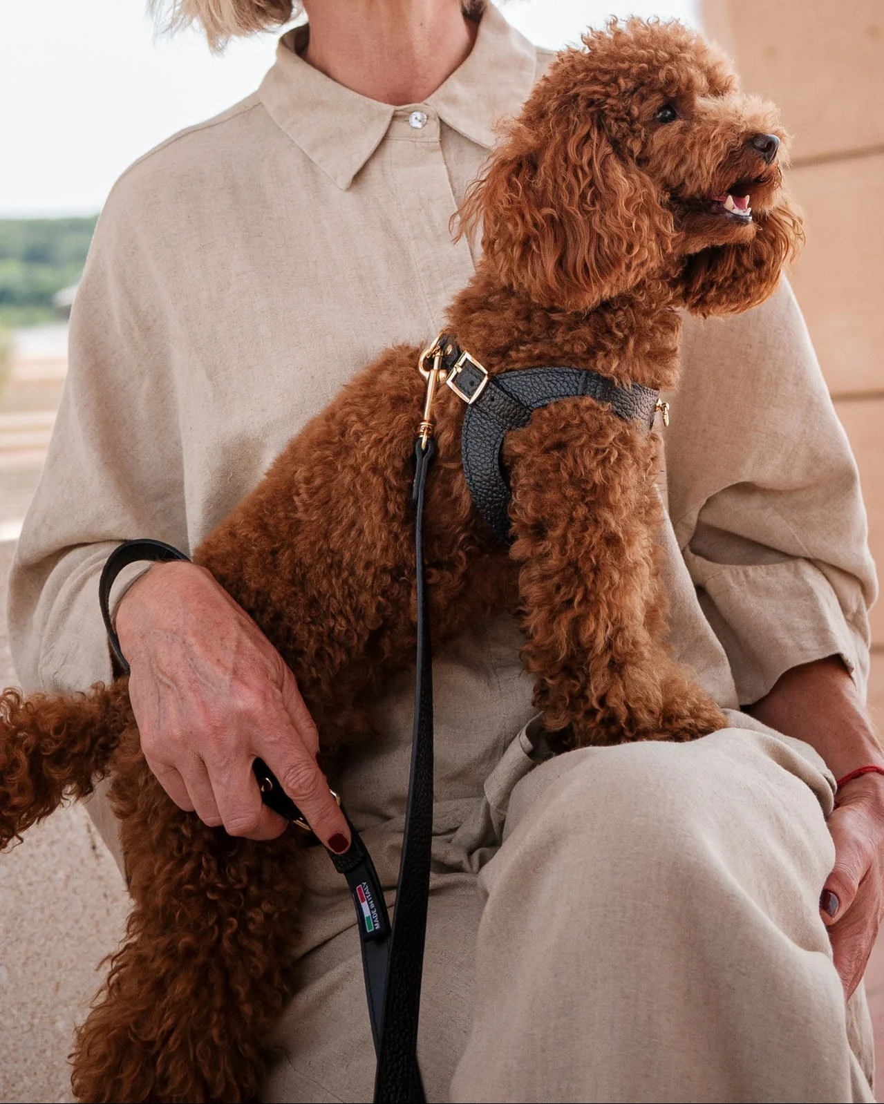 Luca Black Leather Dog Harness - Image 5
