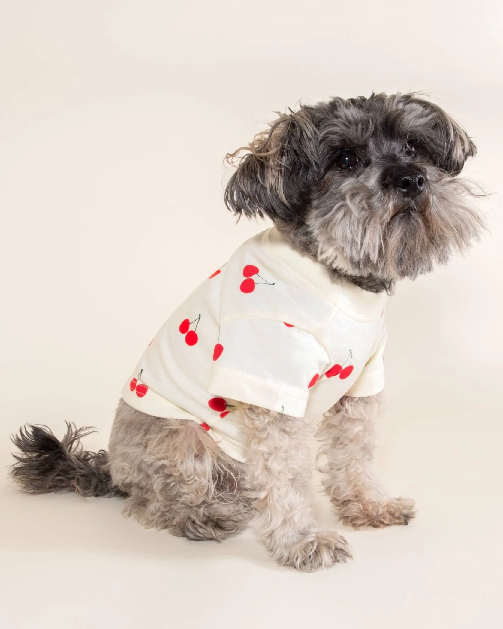 Casual Cutie Cherry Dog T-Shirt - Image 3