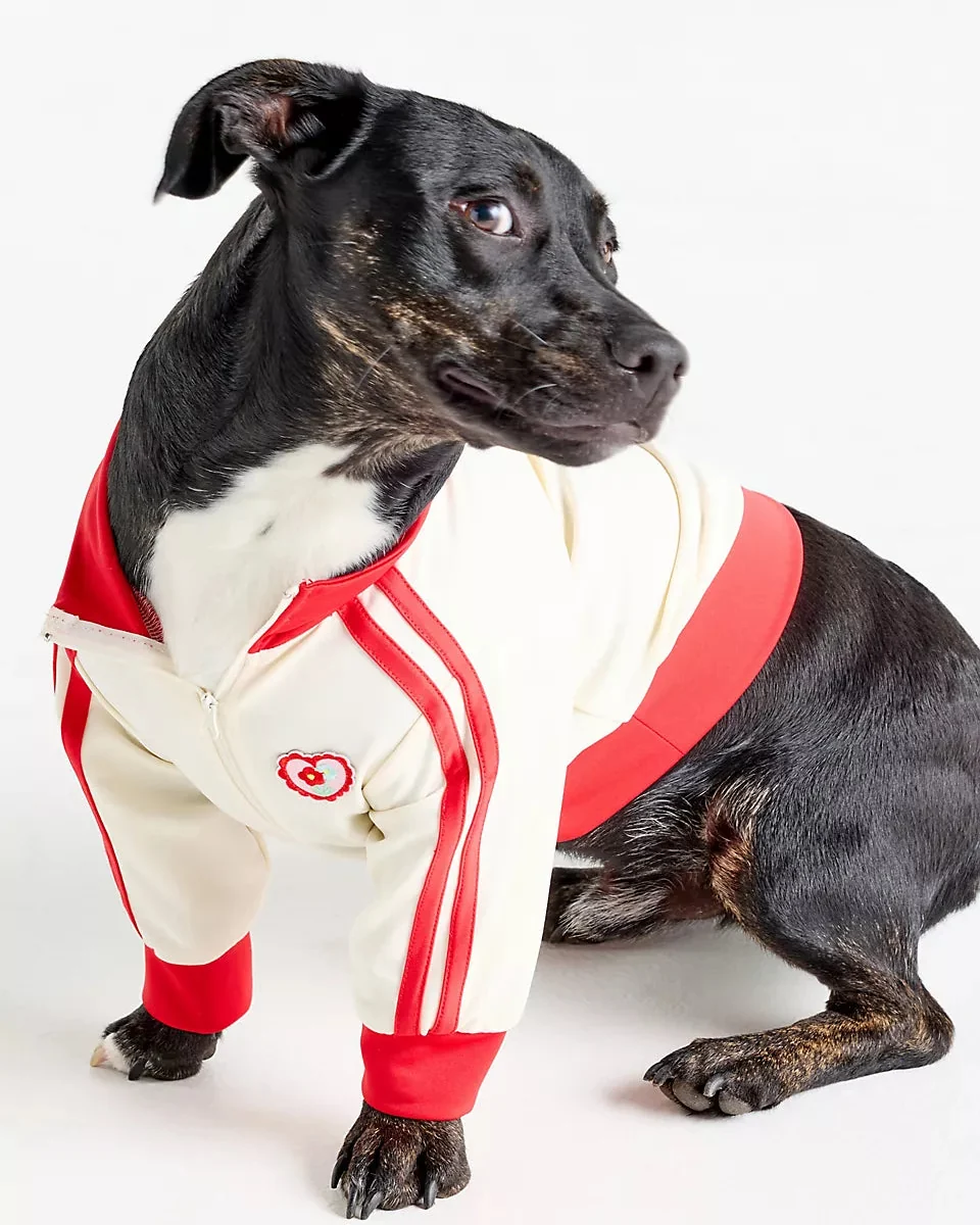 Team Captain Ivory + Red Track Jacket - Image 5