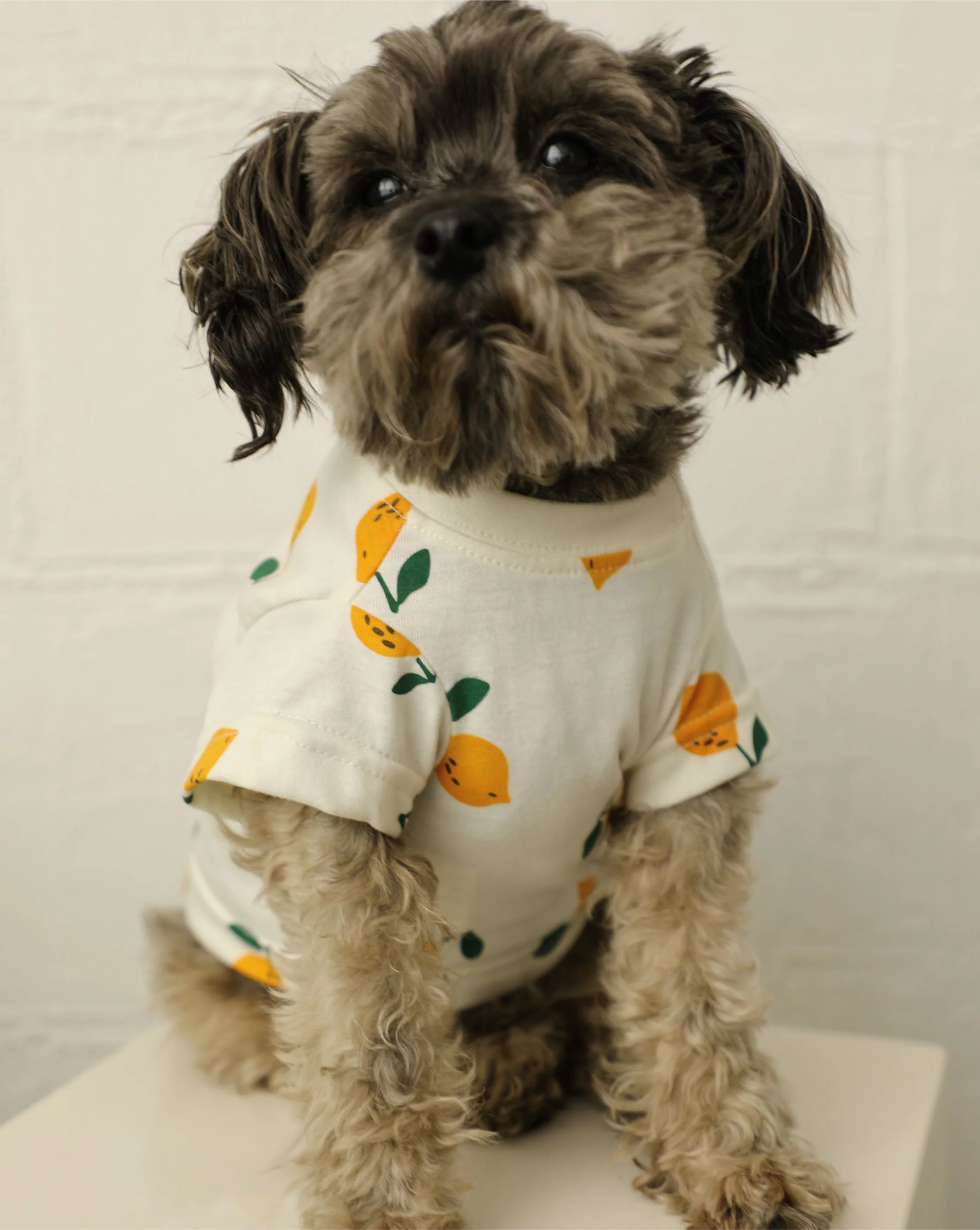 Casual Cutie Lemon Dog T-Shirt - Image 6