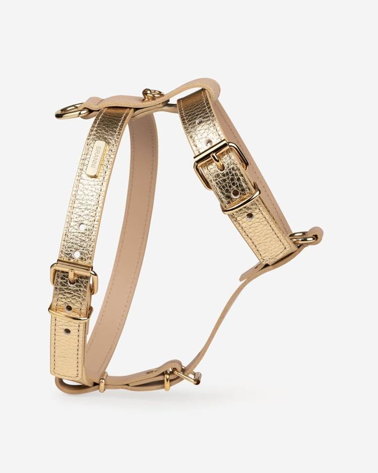Palermo Harness Gold Leather Walk Kit - Image 2