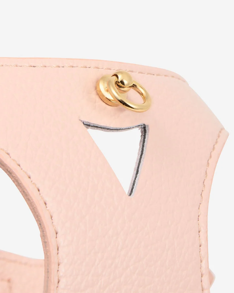 Luca Harness Light Pink Leather Walk Kit - Image 10
