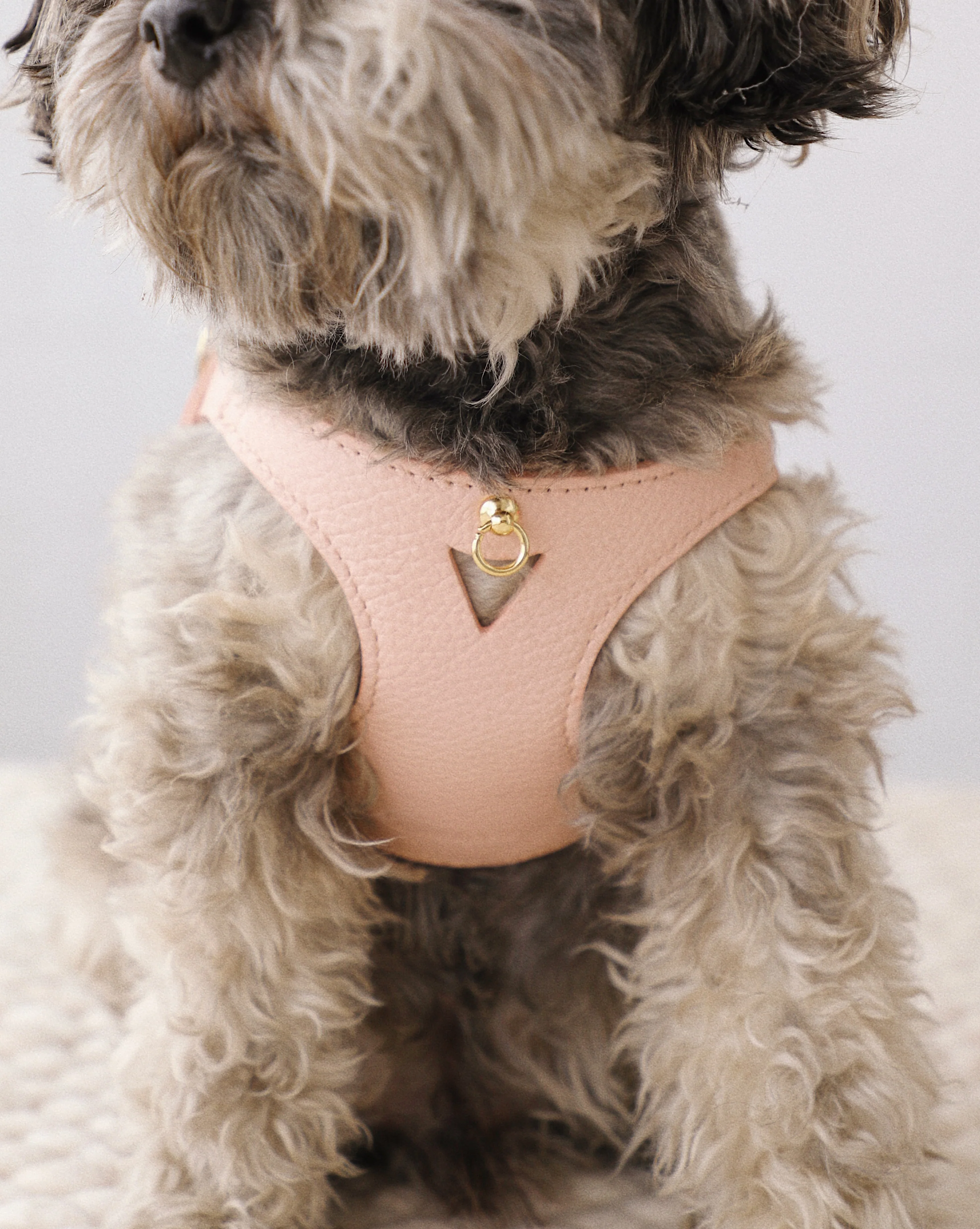 Luca Harness Light Pink Leather Walk Kit - Image 6