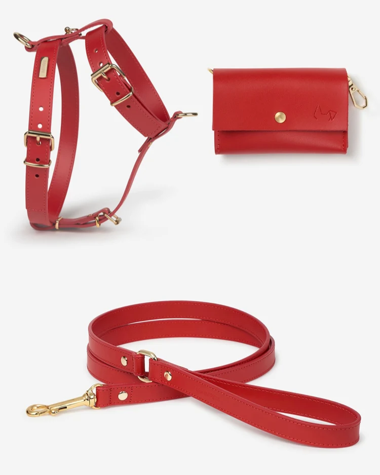 Palermo Harness Red Leather Walk Kit
