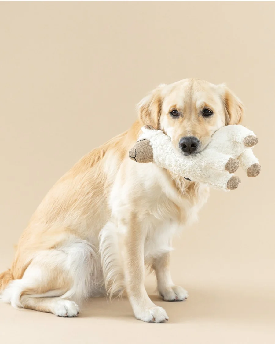 Fleeced to Meet You Llama Dog Toy - Image 2