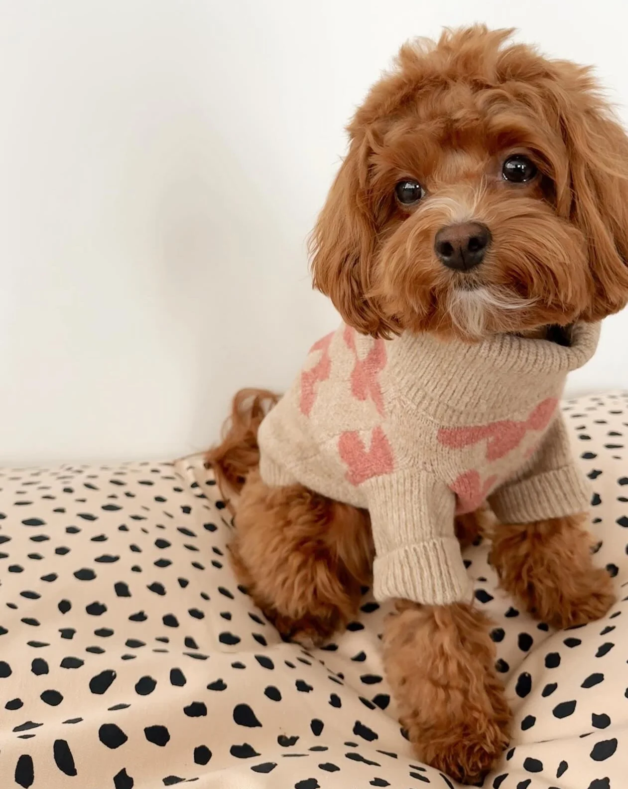 Flower Child Taupe + Pink Floral Dog Sweater - Image 6