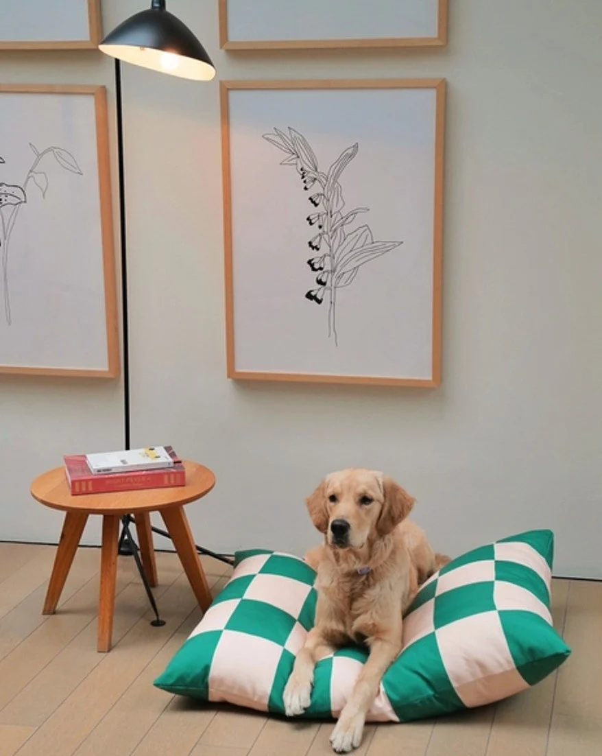 Goalgetter Green + White Check Dog Bed - Image 10