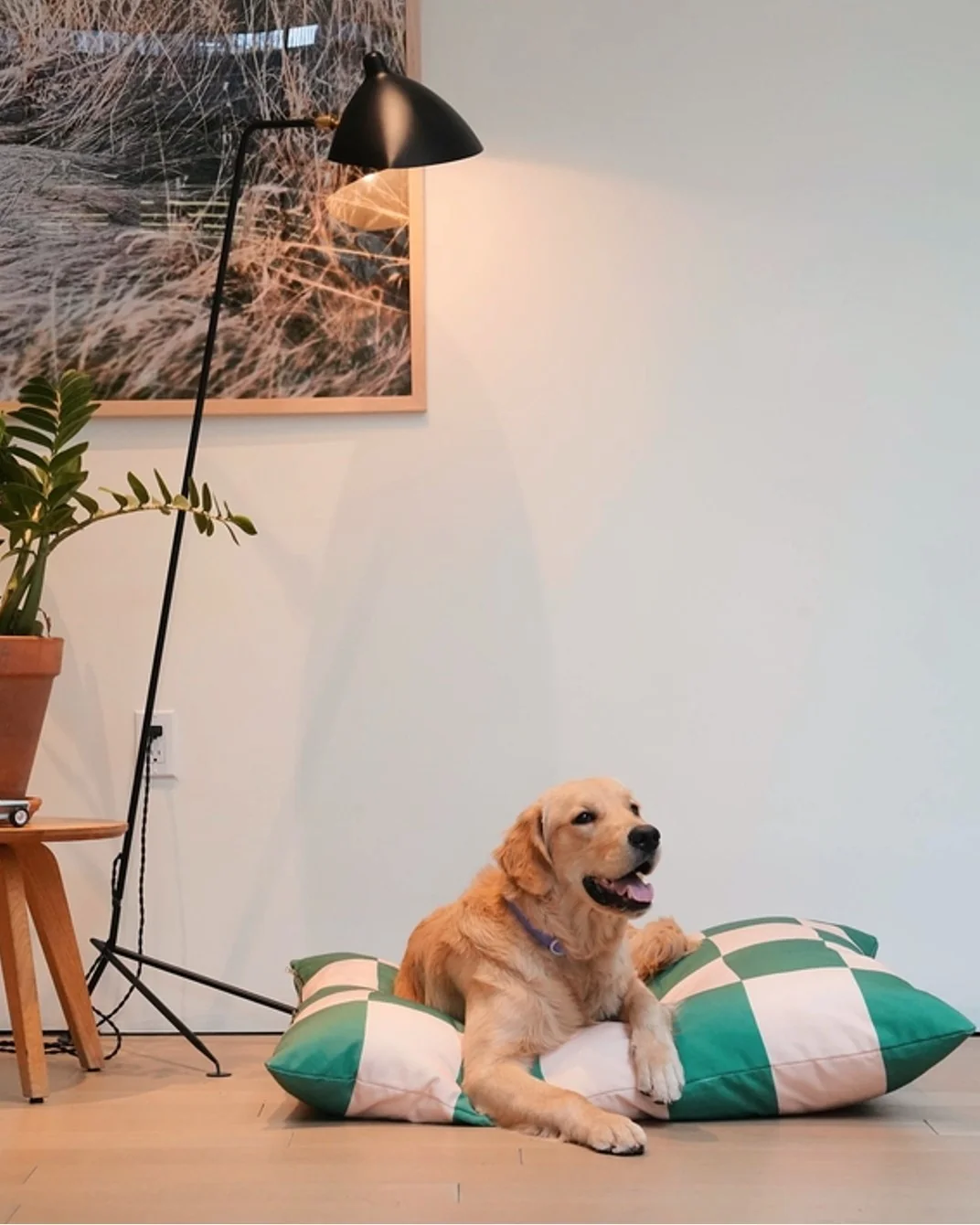 Goalgetter Green + White Check Dog Bed - Image 2