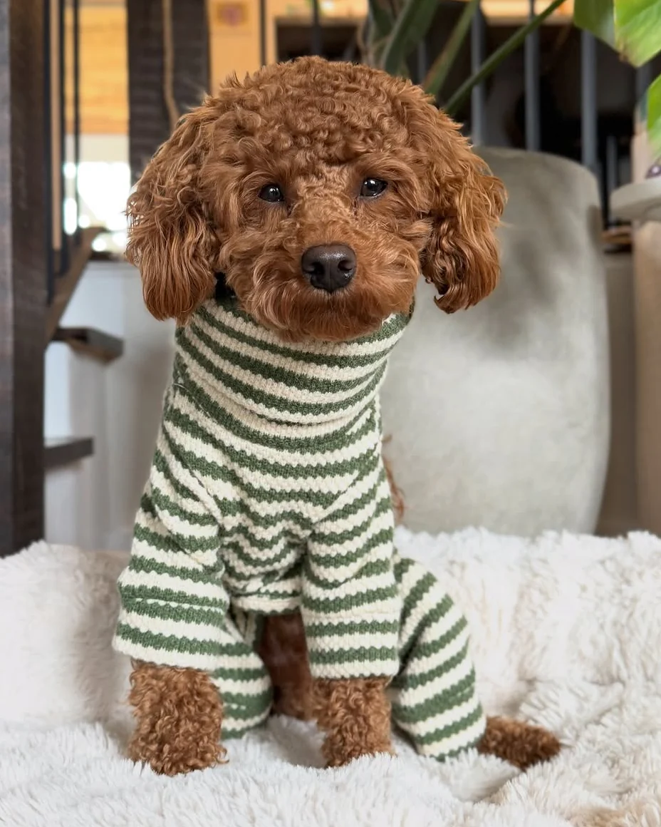 Charli Green + Ivory Dog Onesie - Image 10