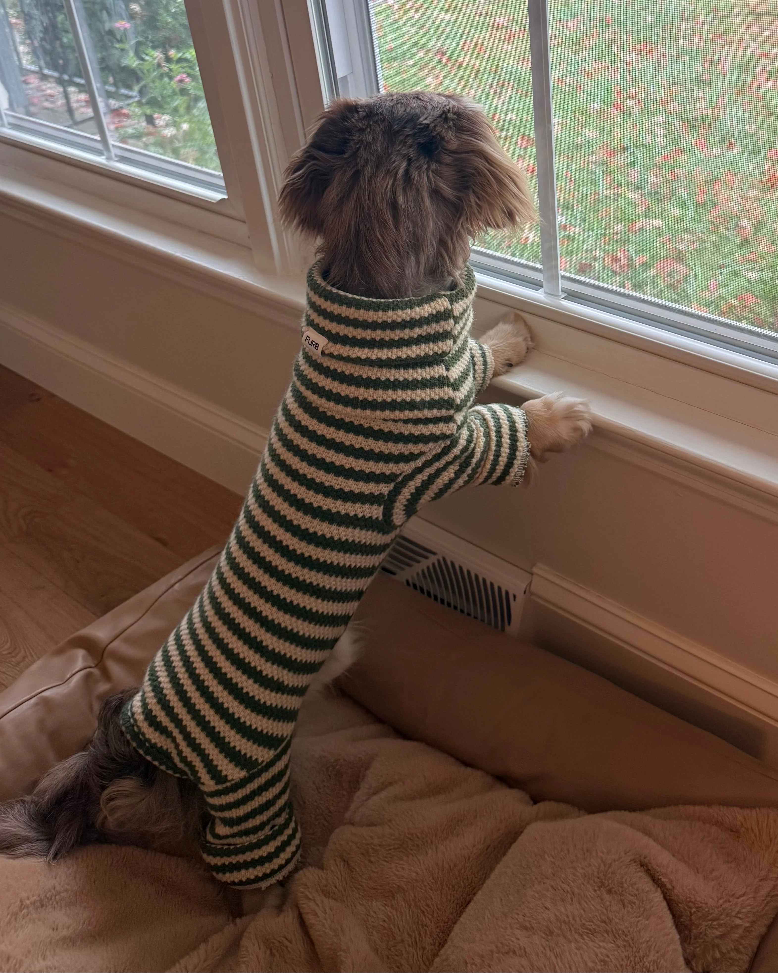 Charli Green + Ivory Dog Onesie - Image 12