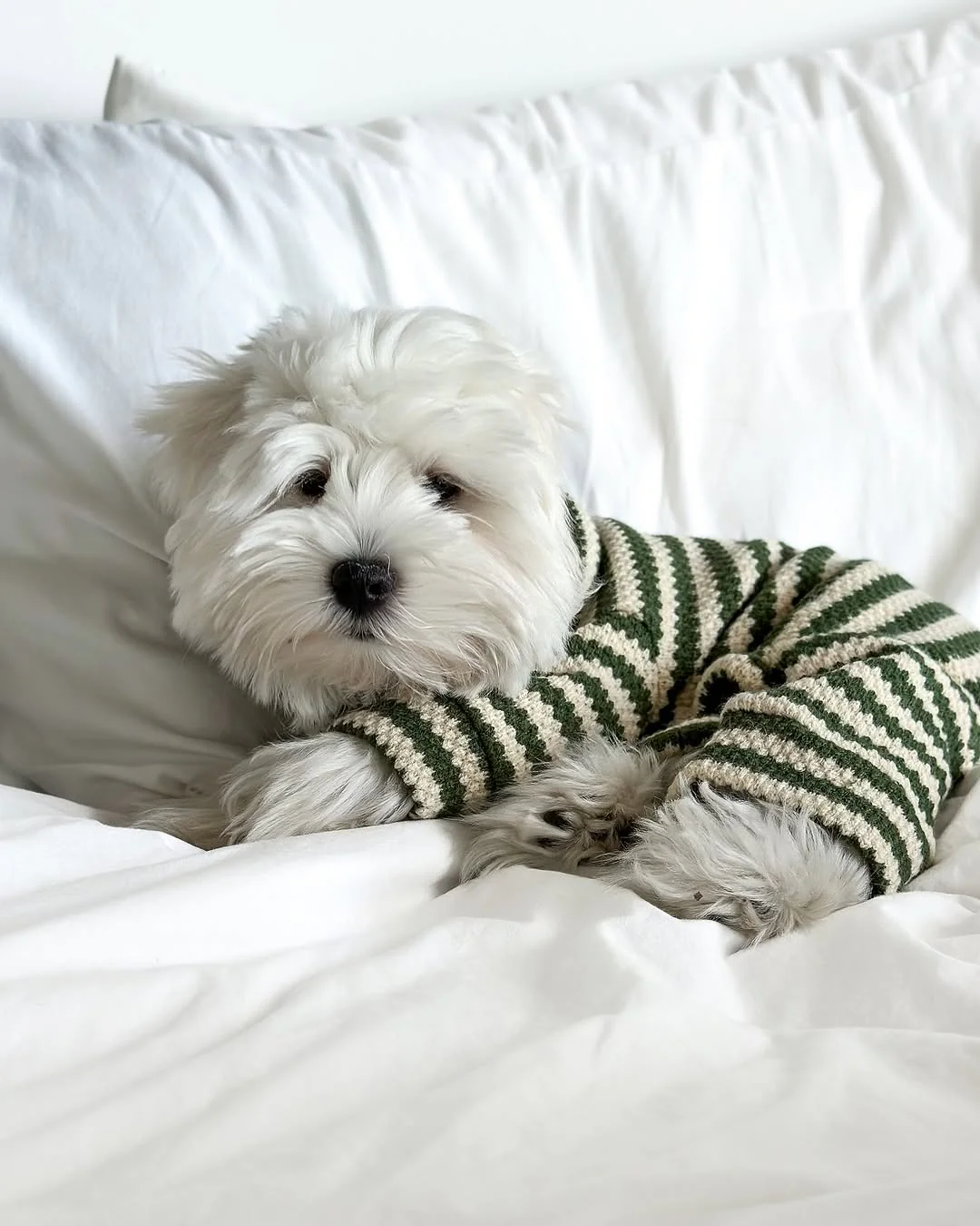 Charli Green + Ivory Dog Onesie - Image 13