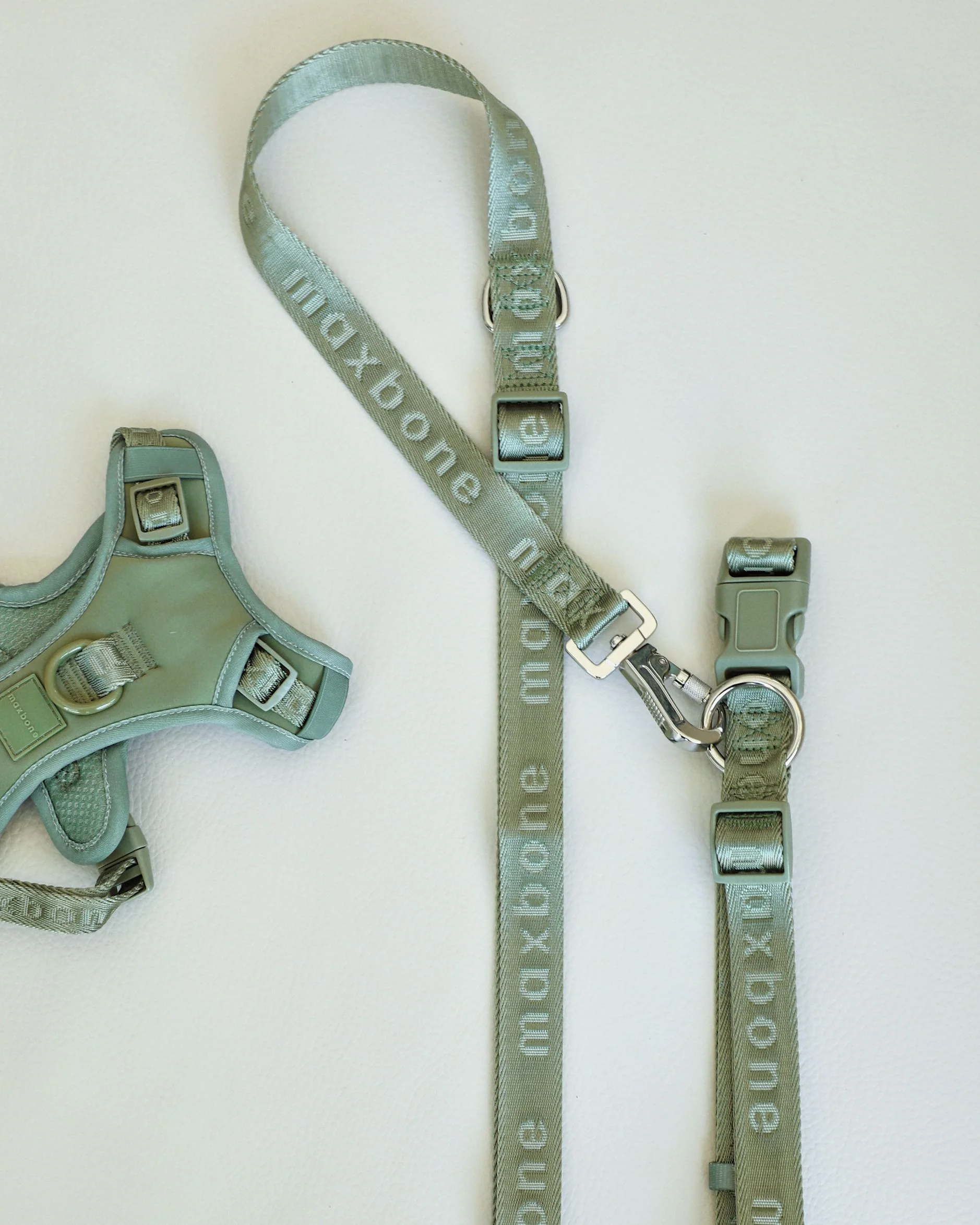 Maxbone Hands Free Leash in Sage - Image 3