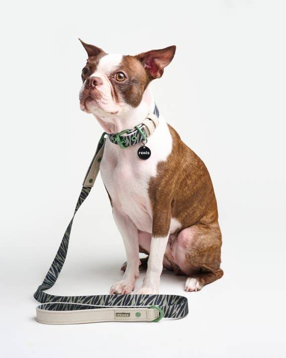 Fierce + Fab Green Zebra Dog Leash