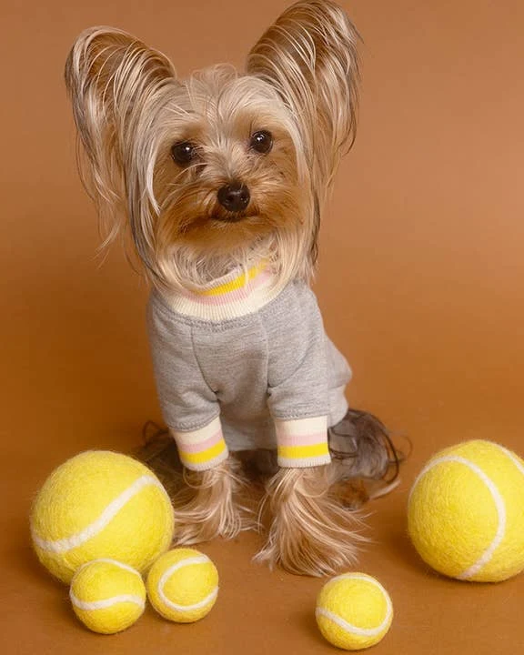 Club Canine Grey Dog Shirt - Image 2