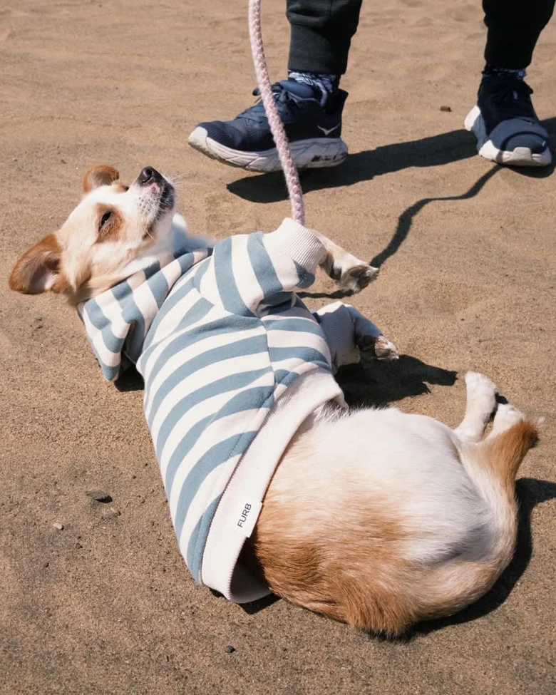 Remy Dusty Teal Stripe Dog Hoodie - Image 9