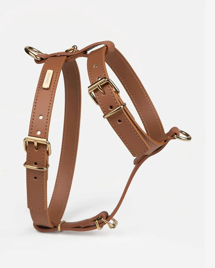 Palermo Harness Camel Leather Walk Kit - Image 2