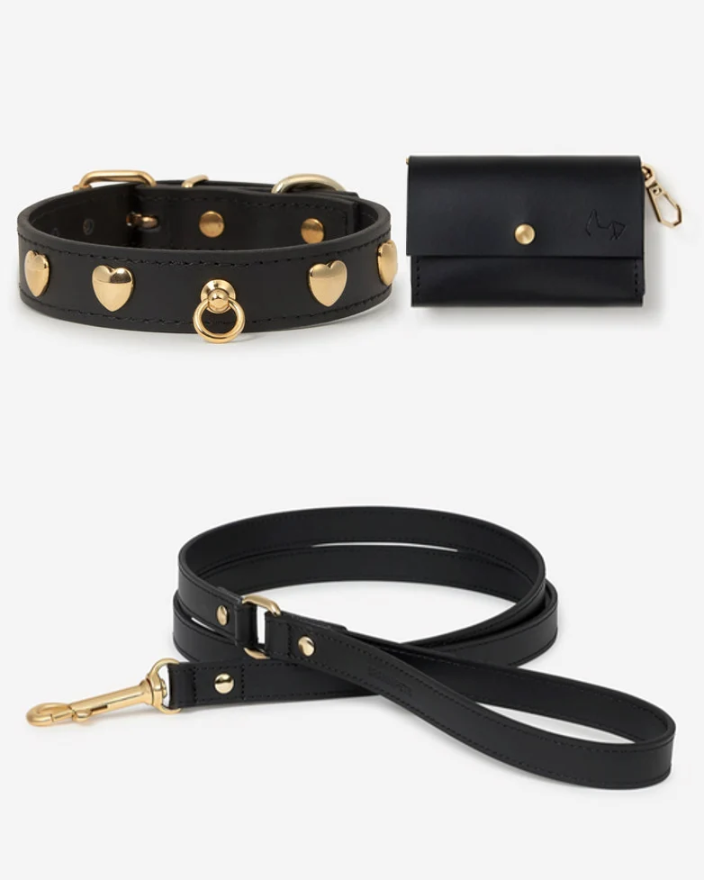 Nara Heart Studded Collar Black Leather Walk Kit