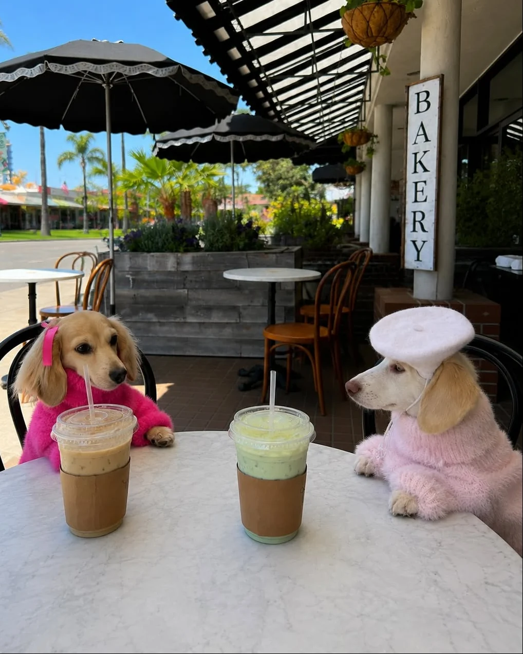 Bobbi Hot Pink Eyelash Knit Dog Sweater - Image 11