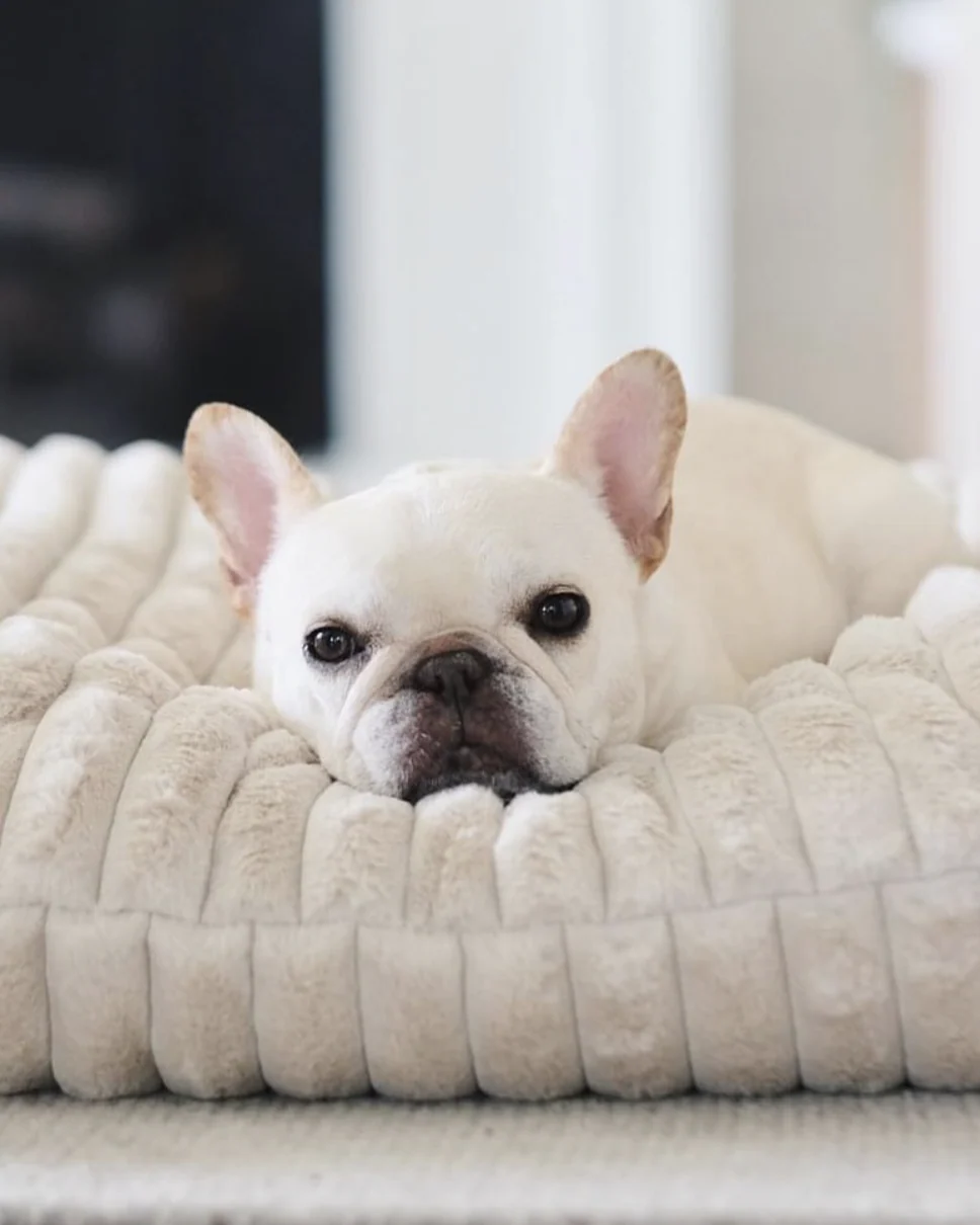 Coronado Ivory Faux Fur Dog Bed, Cover Only - Image 2