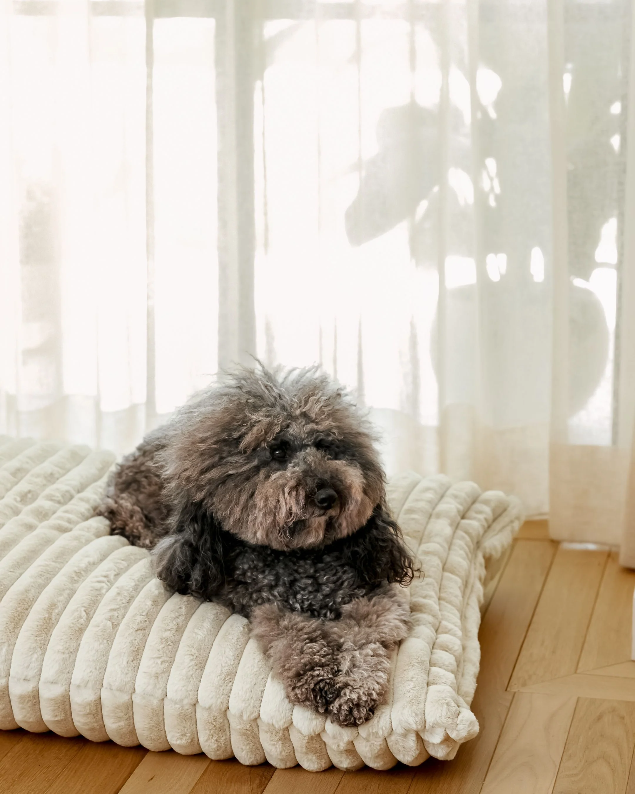 Coronado Ivory Faux Fur Dog Bed, Cover Only - Image 5