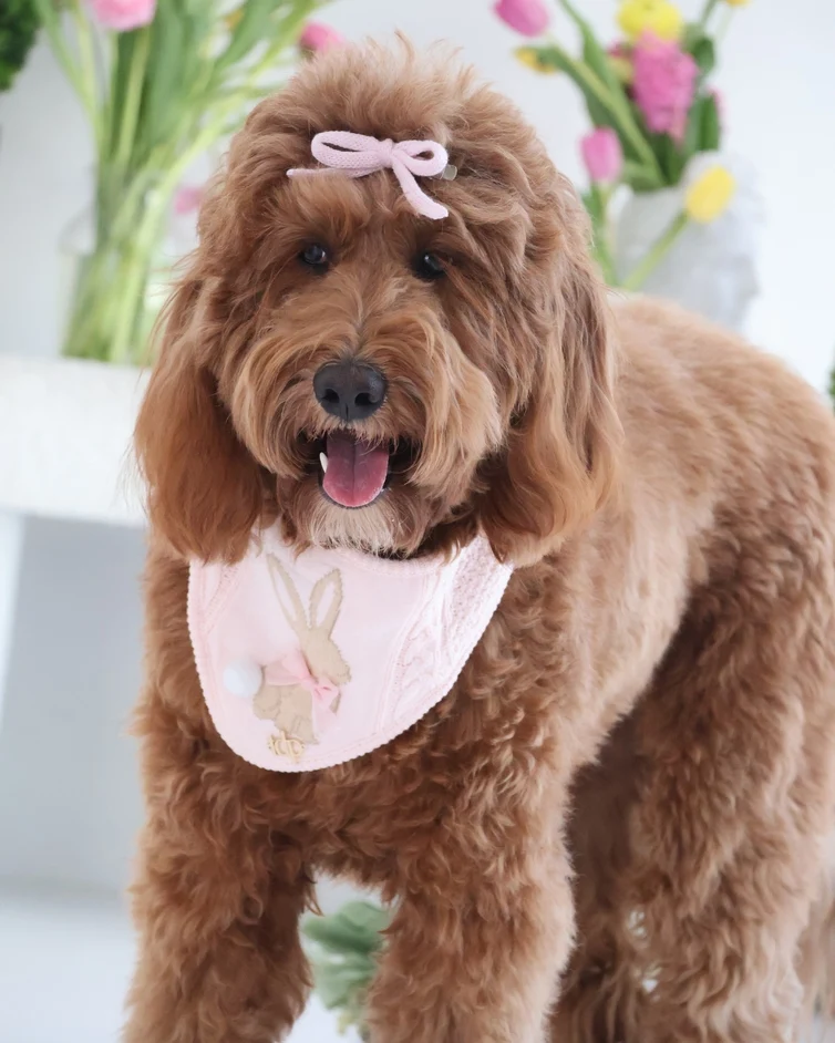 Sweetheart Hair Bow in Blush Pink - Image 2