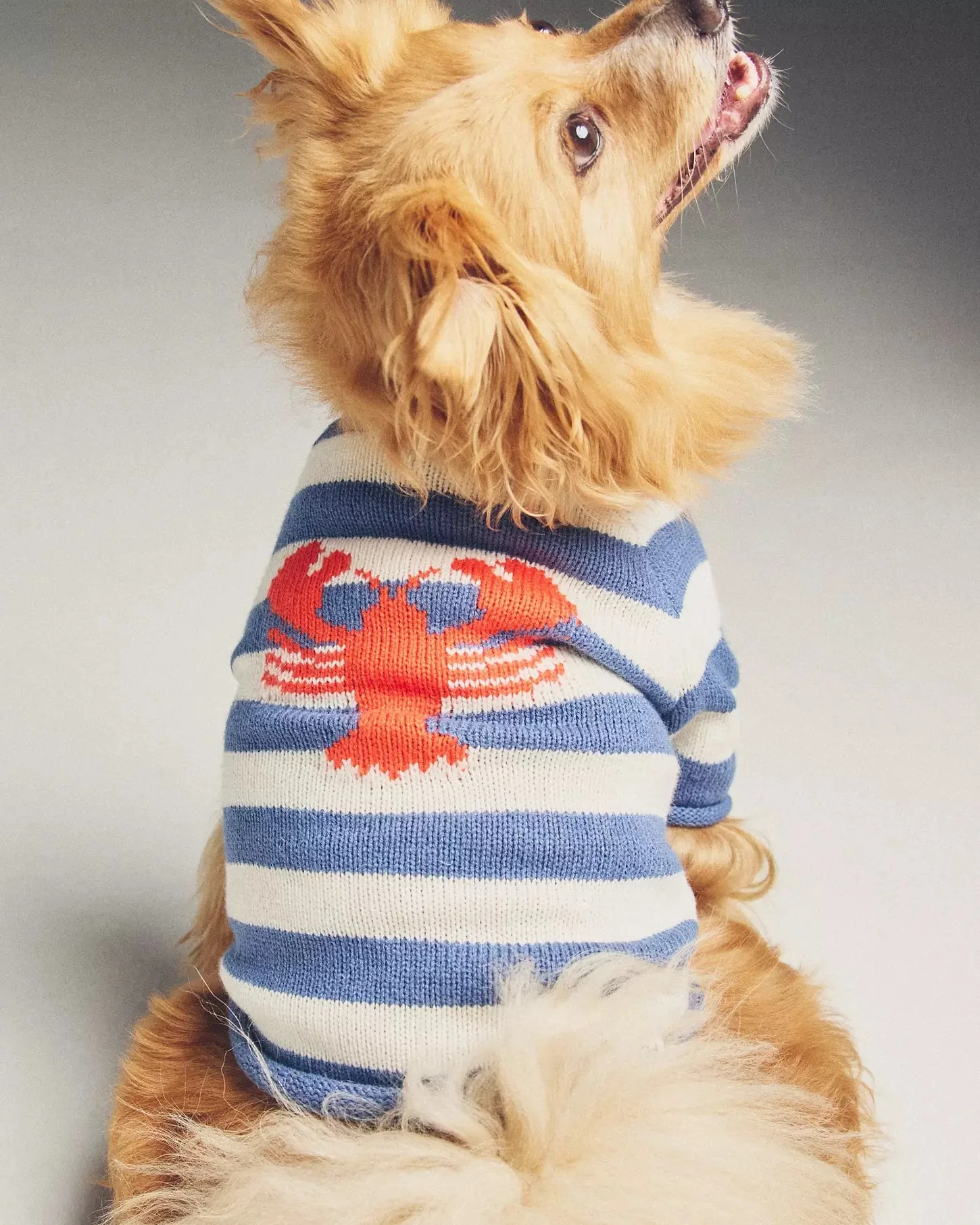 In A Pinch Blue + White Striped Sweater - Image 5